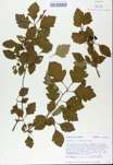 TTRS_000008629-thumbnail.jpg