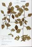 TTRS_000008635-thumbnail.jpg