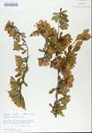 TTRS_000008643-thumbnail.jpg