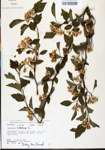 TTRS_000008656-thumbnail.jpg