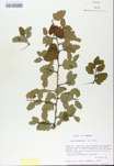 TTRS_000008671-thumbnail.jpg