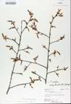 TTRS_000008685-thumbnail.jpg