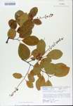 TTRS_000008689-thumbnail.jpg