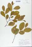 TTRS_000008697-thumbnail.jpg