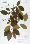 TTRS_000008724-thumbnail.jpg