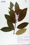 TTRS_000008731-thumbnail.jpg
