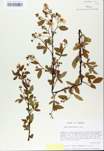 TTRS_000008778-thumbnail.jpg