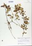 TTRS_000008796-thumbnail.jpg