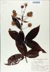 TTRS_000008800-thumbnail.jpg