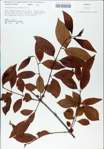 TTRS_000008801-thumbnail.jpg
