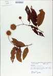 TTRS_000008802-thumbnail.jpg