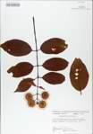 TTRS_000008803-thumbnail.jpg