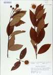 TTRS_000008804-thumbnail.jpg