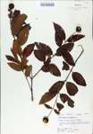 TTRS_000008805-thumbnail.jpg