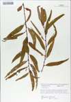 TTRS_000008966-thumbnail.jpg