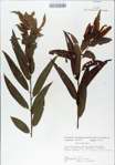 TTRS_000008967-thumbnail.jpg