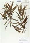 TTRS_000008968-thumbnail.jpg