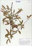 TTRS_000008973-thumbnail.jpg