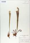 TTRS_000009016-thumbnail.jpg