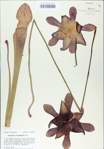 TTRS_000009019-thumbnail.jpg