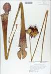 TTRS_000009020-thumbnail.jpg