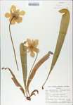 TTRS_000009021-thumbnail.jpg