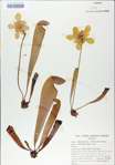 TTRS_000009022-thumbnail.jpg
