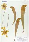 TTRS_000009023-thumbnail.jpg