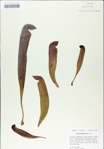 TTRS_000009024-thumbnail.jpg