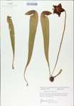 TTRS_000009025-thumbnail.jpg