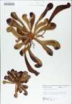 TTRS_000009026-thumbnail.jpg