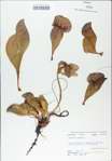 TTRS_000009029-thumbnail.jpg