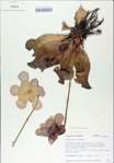 TTRS_000009030-thumbnail.jpg