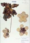 TTRS_000009031-thumbnail.jpg