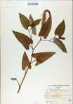 TTRS_000009034-thumbnail.jpg