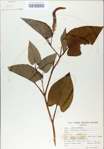 TTRS_000009038-thumbnail.jpg