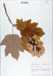 TTRS_000009045-thumbnail.jpg