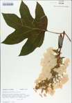 TTRS_000009047-thumbnail.jpg