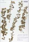 TTRS_000009063-thumbnail.jpg