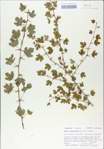 TTRS_000009064-thumbnail.jpg
