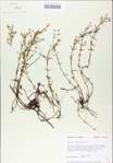 TTRS_000009138-thumbnail.jpg