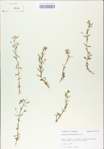 TTRS_000009139-thumbnail.jpg