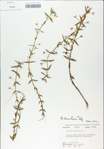 TTRS_000009140-thumbnail.jpg