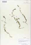 TTRS_000009141-thumbnail.jpg