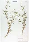 TTRS_000009142-thumbnail.jpg