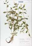 TTRS_000009143-thumbnail.jpg