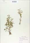 TTRS_000009144-thumbnail.jpg