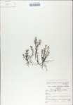 TTRS_000009148-thumbnail.jpg