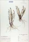 TTRS_000009149-thumbnail.jpg