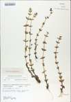 TTRS_000009153-thumbnail.jpg